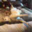 Customer photo 6 of 7