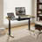 Electric Adjustable Height Standing Desk with Drawers and Memory Controller, Computer Home Office Desk-1207870063-1207870048