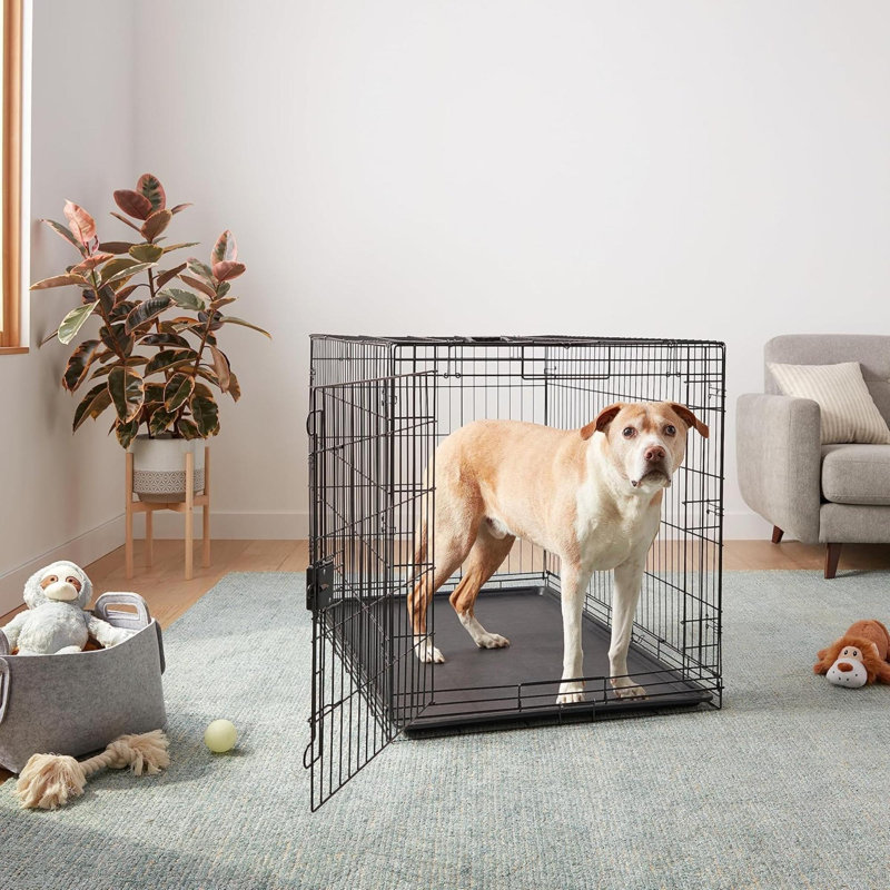 Cage pour chien durable et pliable en métal avec plateau, porte simple