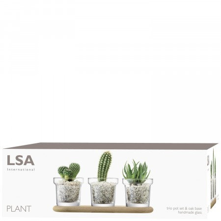 Round Glass Planter