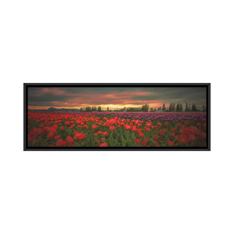 « tulips éclairez grâce », reproduction de photo sur toile, H 14 po x l 16 po x P 48 po, Toile avec cadre noir
