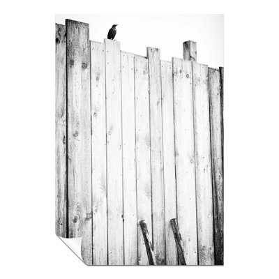 Lonely Raven Wall - No Frame Print