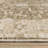 Lainey Vintage Center Medallion Brown/Beige Area Rug-1498304748