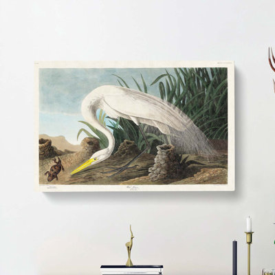 White Heron by John Audubon - Wrapped Canvas Painting