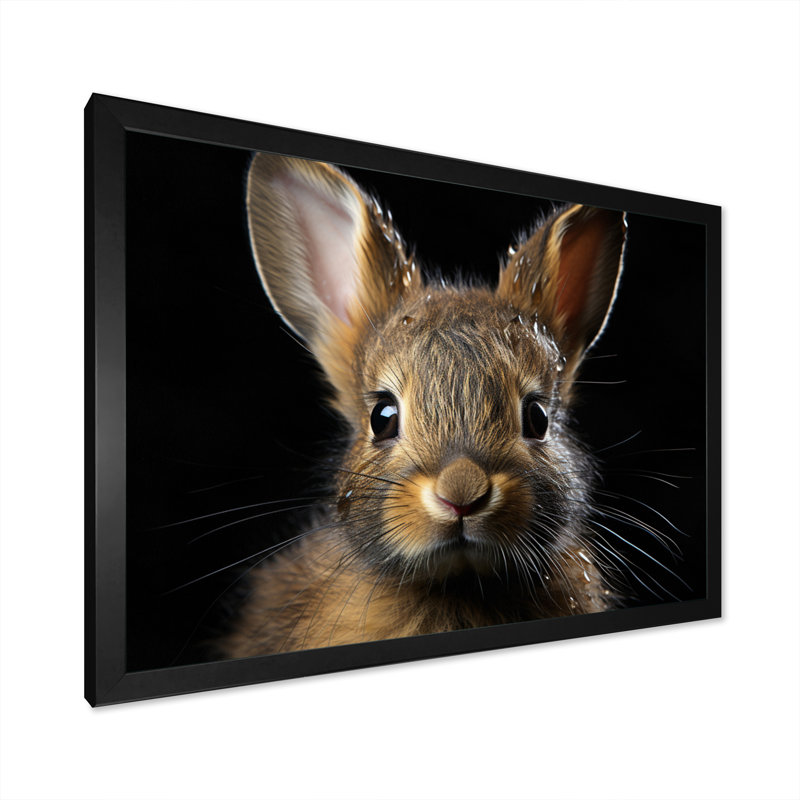 Cute Rabbit Portrait - Animals Canvas Wall Art, Cadre photo noir, H 12 po x l 20 po x P 1 po