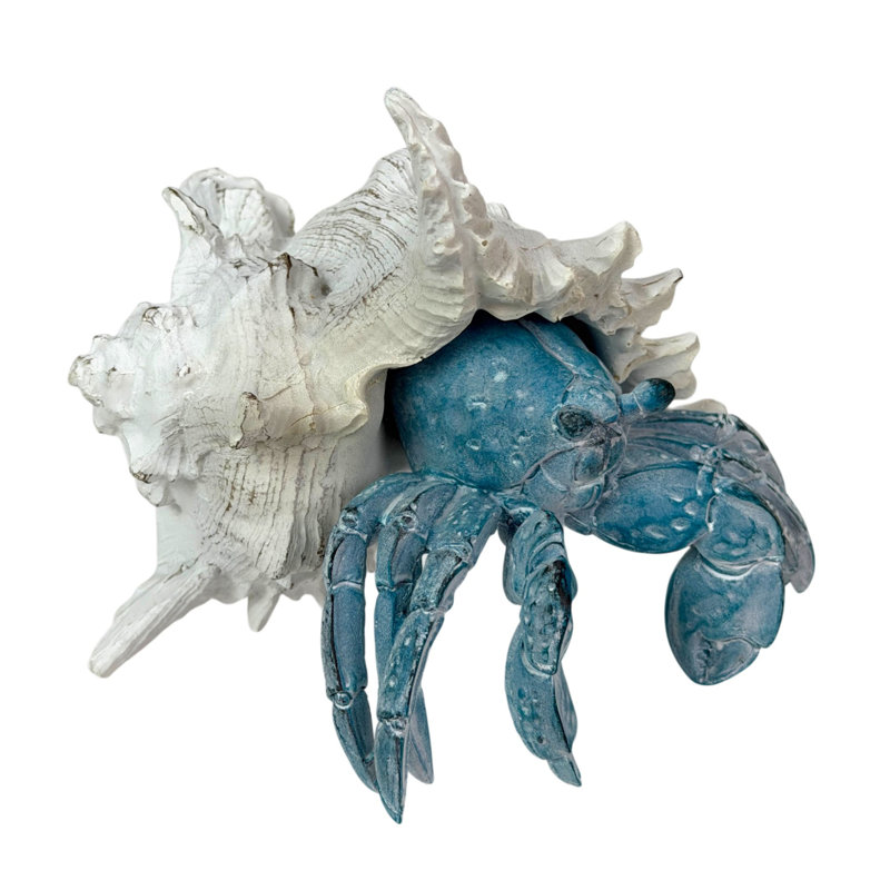 Décoration bord de mer en ermite, bord de mer et coquillages blancs avec finition bleue, hauteur de 5,25 pouces