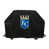 LMB City Royals de Kansas City