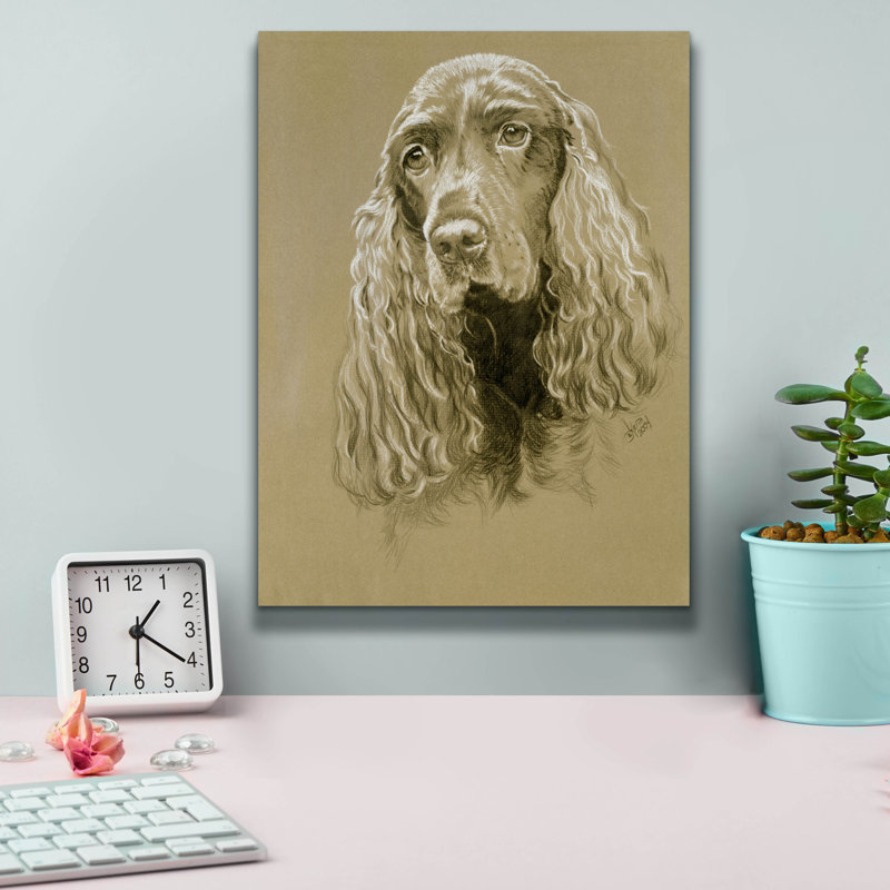 «Field Spaniel» par Barbara Keith, H 16 po x l 12 po