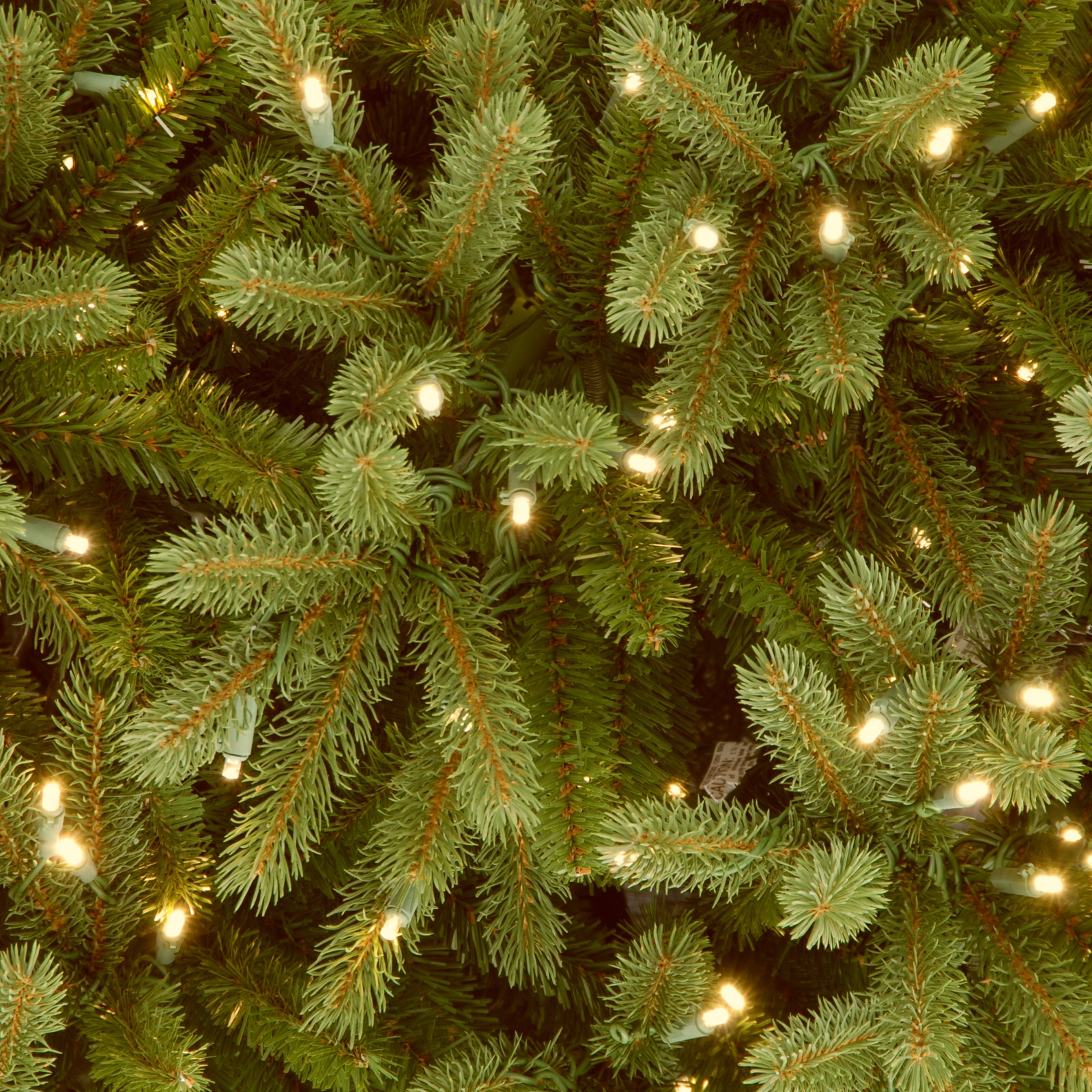 Jersey Flocked 7.5' Pre-Lit Fir Christmas Tree