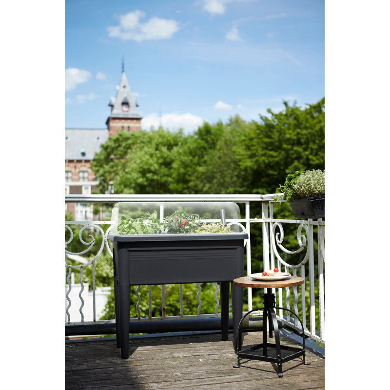 Elevated Planter, Living Black, 65.1cm H x 75.5cm W x 75.5cm D