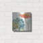 «Rainbow Seeds Flowers IV» par Lisa Audit-212187213