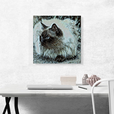 Himalayan Cat Breed - reproduction d'art sur toile tendue