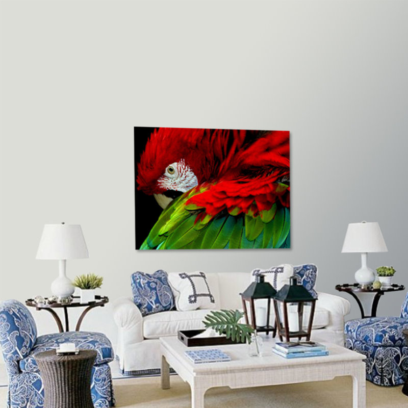 Perroquet posant - photographie non encadrée, H 16 po x l 20 po x P 1,5 po, Aluminium
