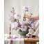 Ensemble de dahlia 17 po-86903294
