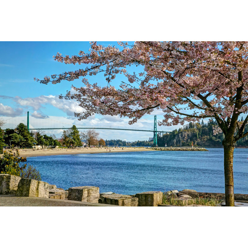 Bukovec Cherry Blossoms At Seaside - Wrapped Canvas Print, 30cm H x 46cm W x 3.8cm D