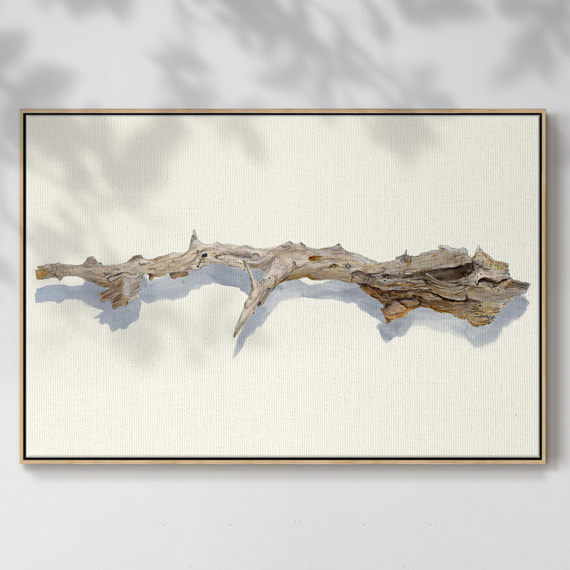 «Driftwood Study I», reproduction d'art sur toile, H 17 po x l 25 po x P 2 po, Naturel