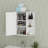 Bathroom Medicine Cabinet With Mirror