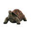 Statue de tortue
