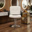 Fauteuil de coiffeur pour coiffeur - pivotant à 360 °, hauteur réglable, capacité 350 lb avec pompe hydraulique robuste, blanc-1401014442-1401014444
