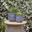 Includes plant rack flower pots