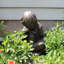 Statue de garçon nature Klass-29303450