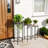 Wesley Plant Stand