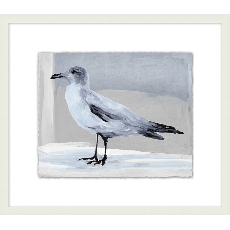 Gull Study " Gull Study 2 "