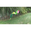 Art de jardin vert ara