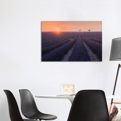 Lavender Fields of Provence V 1 Piece Wrapped Canvas Wall Art