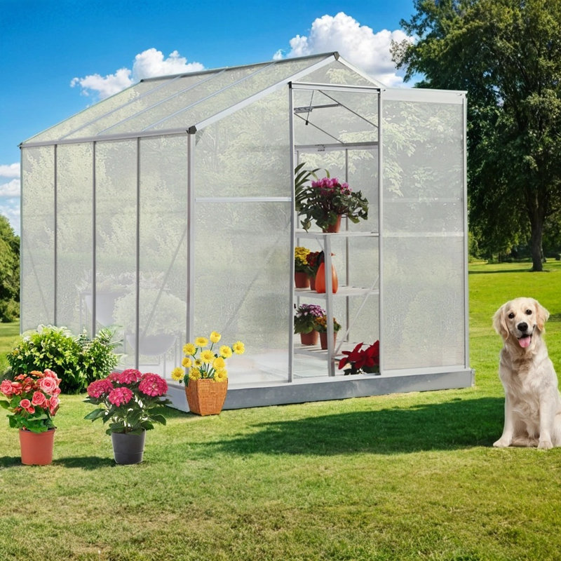 6' W x8' D Greenhouse, Silver