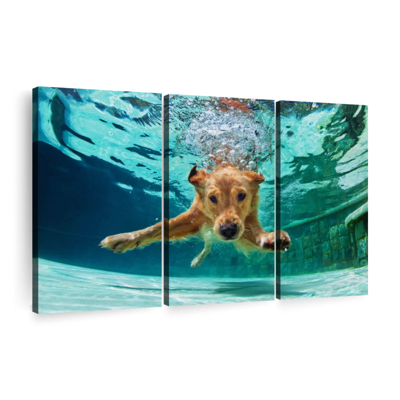 «Golden Retriever Diving», 3 pièces sur toile, H 48 po x l 74 po x P 1,25 po