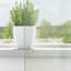 Voile Curtains With Tab Top 2 Pcs-2099272480-2099272500