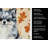 Blue Merle Pomeranian Heirloom Fall Kitchen Towel-1218231057