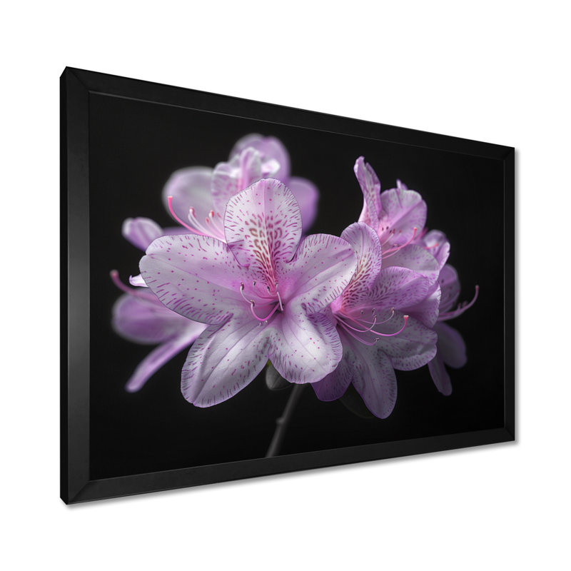 Ruchodendron mauve et noir soufflant vents - art mural rhododendron, H 12 po x l 20 po, Cadre simple noir