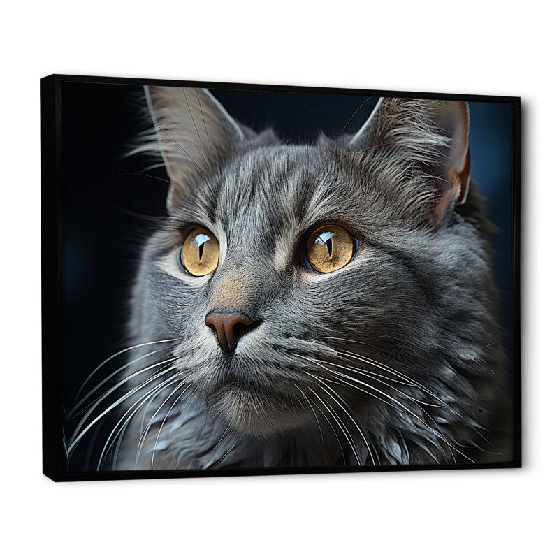 «Chartreux Contemplation Cat Eyes I», reproduction d'art mural, H 16 po x l 32 po x P 1 po, Cadre flottant noir