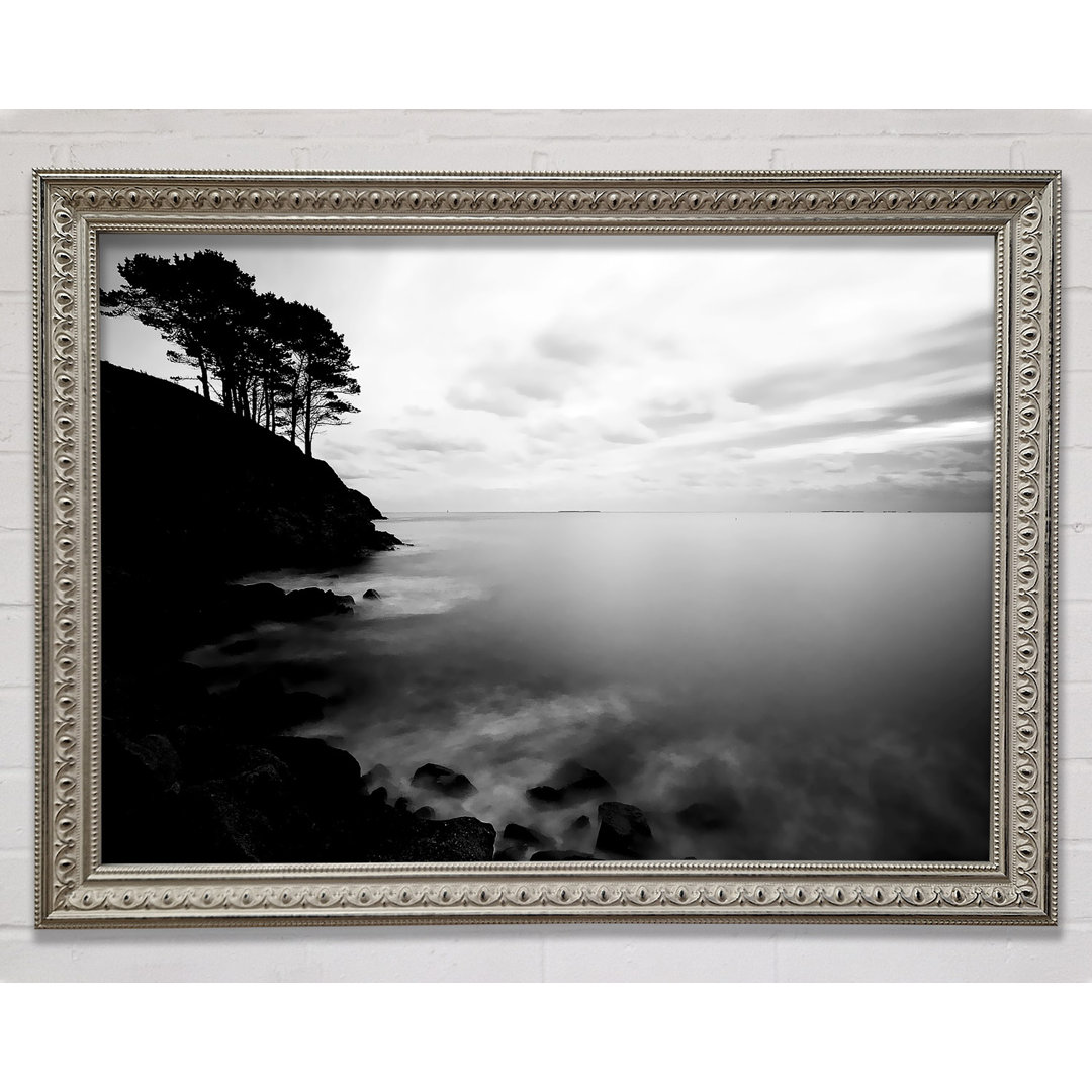 Gerahmtes Leinwandbild Tree Top Ocean Calm B N W