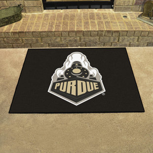 FANMATS St. Louis Blues Starter Mat, Wayfair