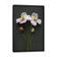 Les fleurs et les greffons clematiss sont imprimés sur toile-32497732-72123808-72123814