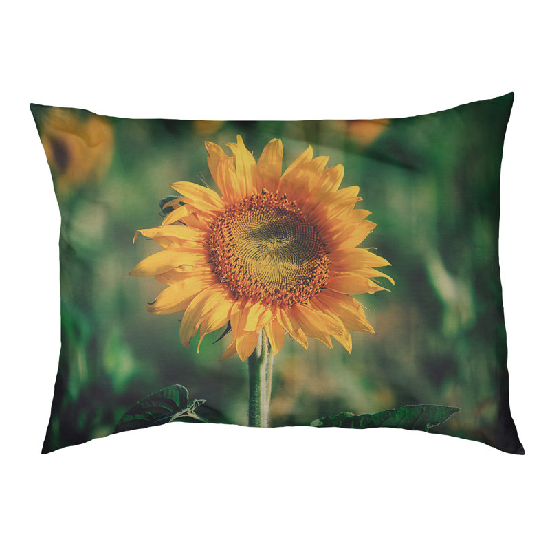 Coussin de designer tournesol Burnsville, L 42 po x l 52 po, Noir