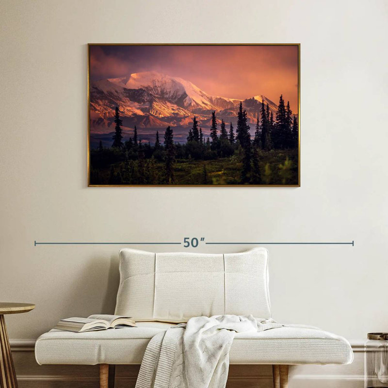 Denali et forêt Denali, Cadre flottant doré, 40 po x 27 po