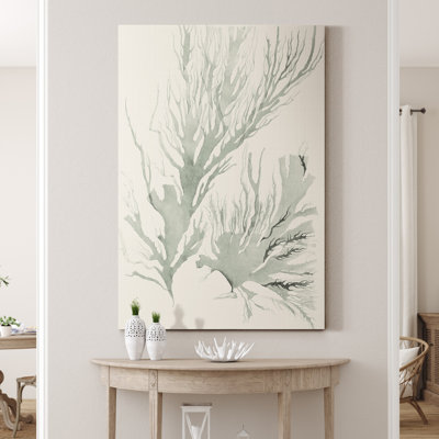 " Sage Green Seaweed IV "