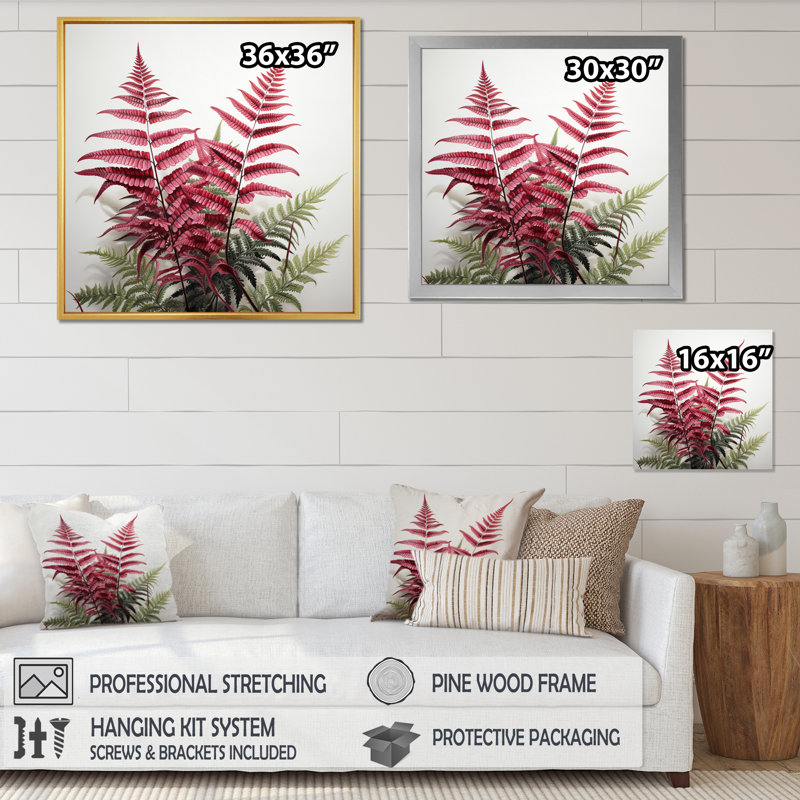 Ferns Ruby Essence I - Floral Canvas Wall Art, Cadre simple noir, H 24 po x l 24 po x P 1 po