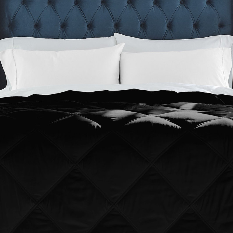 Édredon en duvet synthétique Pointehaven, Grand lit, Noir