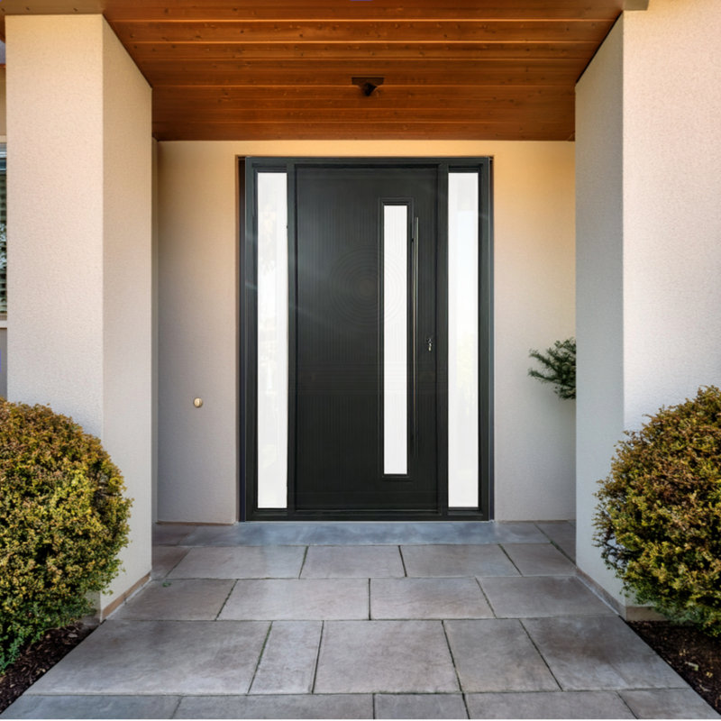 Vista Frame Iron Pivot Door