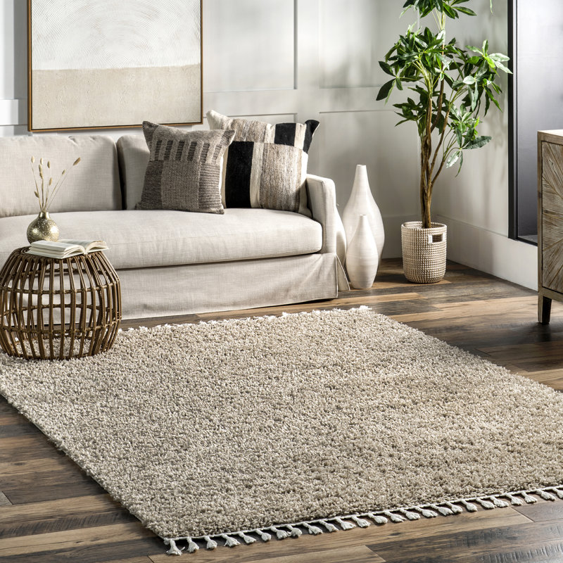 Simms Power Loom Performance Shag Tasseled Rug, Rectangle 3' x 5' 3"