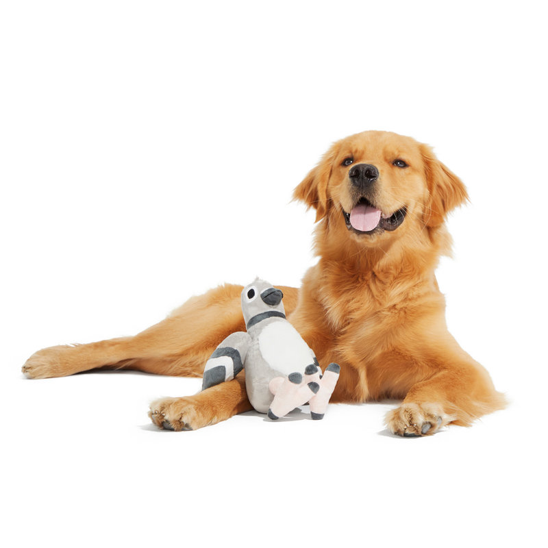 Best Of Bark Box Accessories