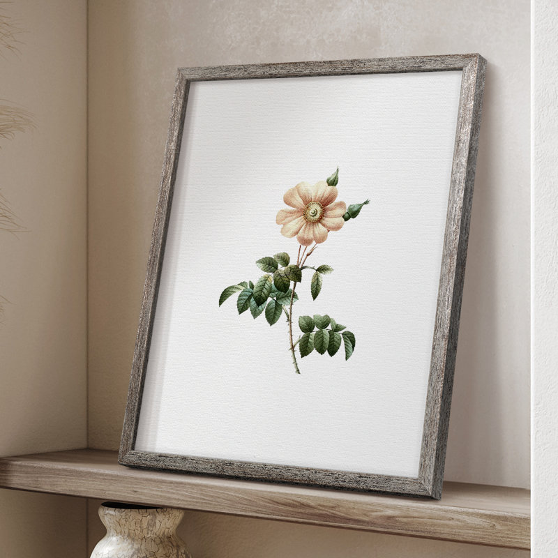 «Botanical Beauty II», reproduction encadrée - bois massif 50510, 11'' H x 9'' W