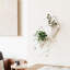 Trigg Wall Décor-66598921-35616091