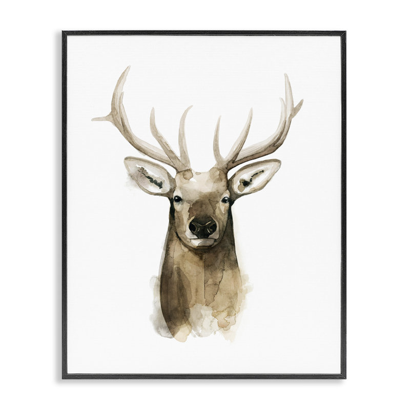 "Stupell Industries", art mural sur toile aquarelle par Grace Popp, H 20 po x l 16 po x P 1,5 po, Giclée encadrée noir minuit