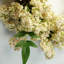 Artificial Hanging Berry Wreath.-1479041153